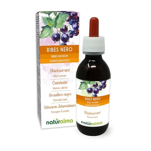 Schwarze Johannisbeere (Ribes nigrum) Alkoholfreier Knospen-Extrakt