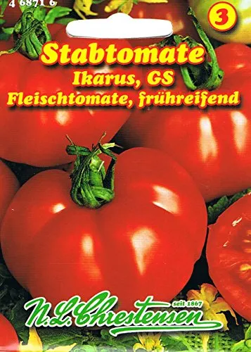 Stabtomaten Ikarus Fleischtomate, sehr frühreifend