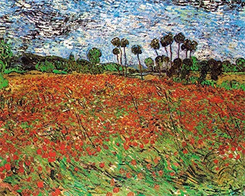 Produktbild 1art1 Vincent Van Gogh Poster Mohnfeld, 1890 Kunstdruck Bild 50x40 cm