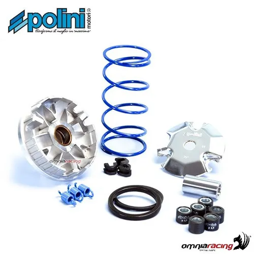 Polini High-Speed-Variator für Aprilia Scarabeo 50 von Yamaha
