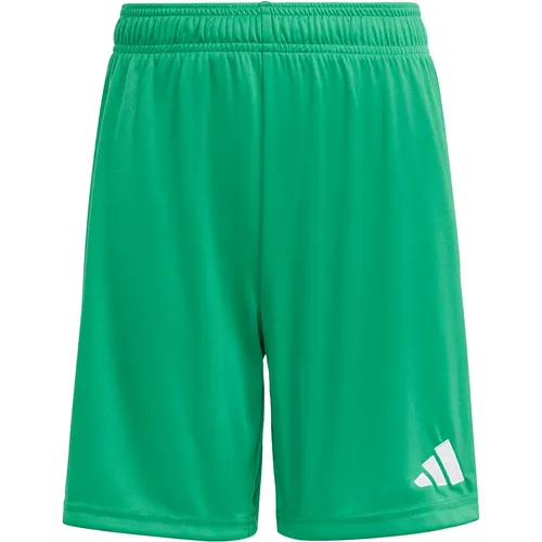adidas Shorts Grün von adidas