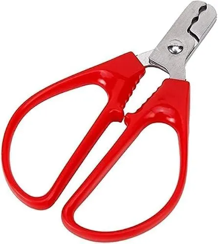 Rote Schälzange für Nussknacker, Samen, Pistazien, Schalenöffner, Schälzange, Nussknacker, Artefakt, Edelstahl, Hartschalenkoffer, praktische Spezialwerkzeuge und Gadgets