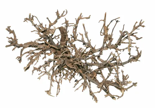 Outback-Busch - Farbe: Natur - für die Gestaltung von Wüstenterrarien