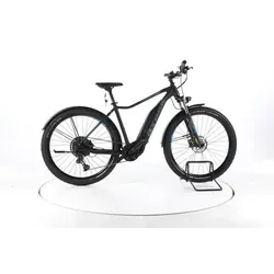 Axess Prime 29 Trekking E-Bike