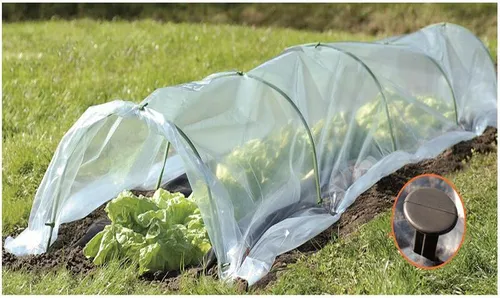 Greenmill Folientunnel (GR5001) - Pflanzen, Pflanzengefässe, Gewächshaus – Ideal zum Schutz Ihrer Pflanzen vor Kälte und Schädlingen, sorgt für optimales Wachstum und Ernte.