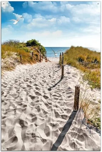 Wallario Outdoor-Poster Möwen am Strand - Gartenschilder für den Außenbereich - Hochwertiges Motivbanner mit UV- und Witterungsbeständigkeit, ideal zur Verschönerung von Sichtschutzelementen und Zäunen.