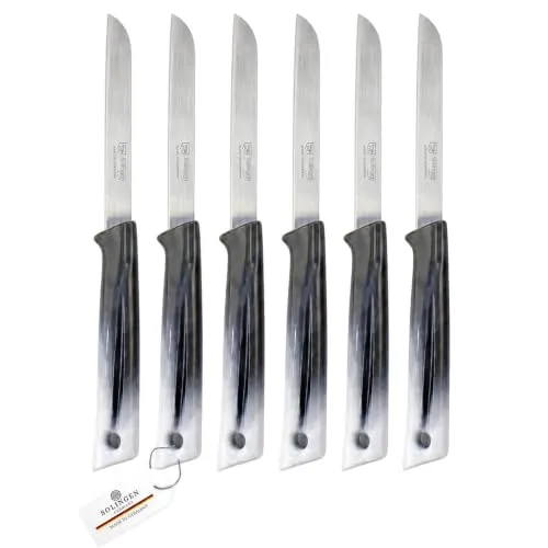 Pure Line Solingen Obstmesser Set 6-teilig I Tomatenmesser, Scharfe Küchenmesser mit Wellenschliff I Ergonomischer Griff, Edelstahl Messer für Obst, Gemüse, Küche Zubehör, Küchenmesser Set