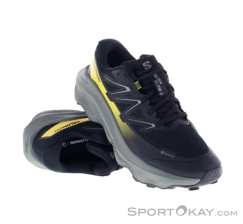 SALOMON ULTRA FLOW 2 GTX von Salomon