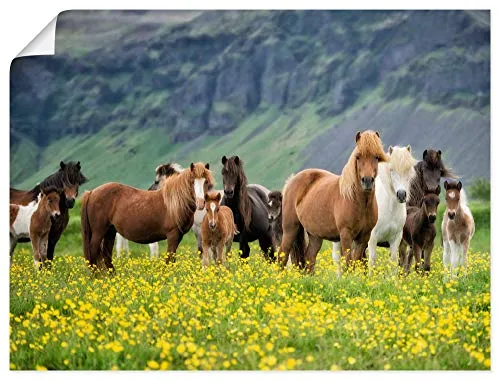 Poster & Bildende Kunst Grün von ARTland