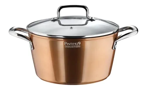 Pintinox Fleischtopf Metallic mit Deckel, Aluminium, 20 cm Ø Antihaftbeschichtung, Induktion