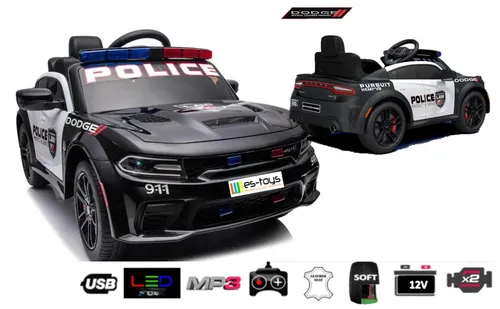 Elektro Auto 