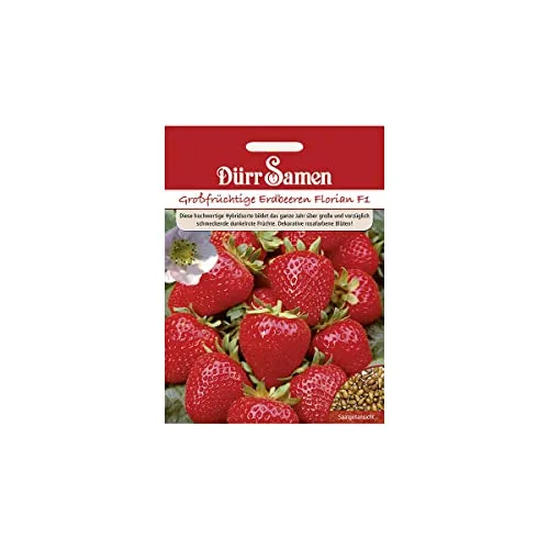 Dürr-Samen - Erdbeeren Florian F1 Saatgut