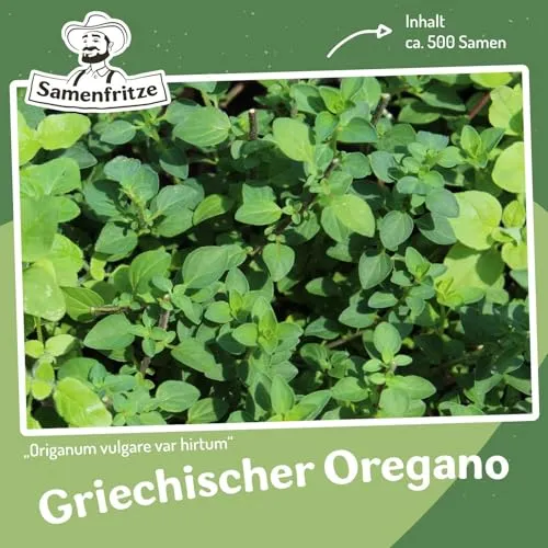MHD 06/26 Griechischer Oregano Samen