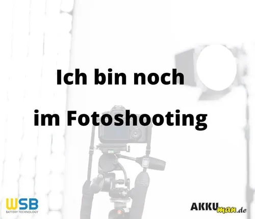 100x EVE INR21700-40P 4000mAh Li-Ion Akku von eve