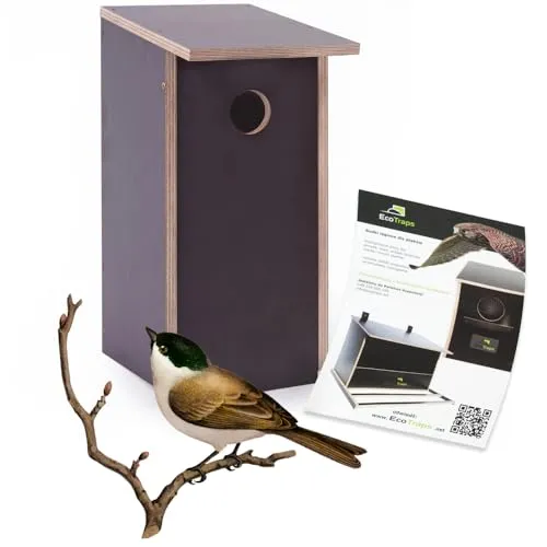 EcoTraps Wetterfestes Vogelhaus für Wildvögel – Stabiler Nistkasten 31x14x14cm