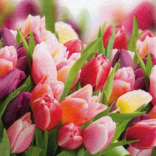 Servietten Pink & Violet Tulips Tulpen Frühling Ostern rosa rot Deko 33x33cm 20