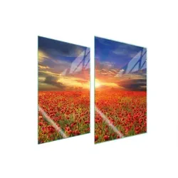 Glasschutzplatte Für Küche 2x35x52 Maki in rot von OEM