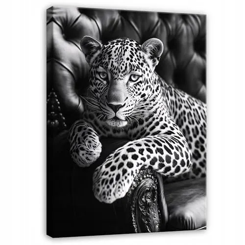 WallArena in schwarz von Wallarena