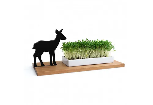 side by side Kräuterbeet Kresseschale smart n green Reh