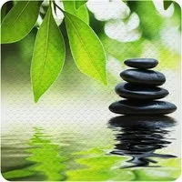 Sanilo Duschmatte Harmony – Rutschfest mit Motiv von Sanilo