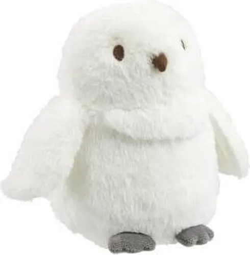 Regenbogen Harry Potter schlafen Hedvika