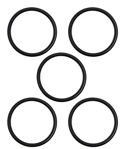 O-Ring Dichtung 15601070 kompatibel mit Kaffeemaschine ESE44 DDIESSE Frog, Faber, La Piccola, Grimac, Union Group - BSSTORE (5)