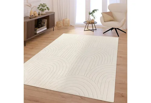 TT Home Teppich, Rechteckig, Höhe: 16 mm, Wohnzimmer Teppich Schlafzimmer Hochflor Weich Waschbar Uni 3D-Optik M