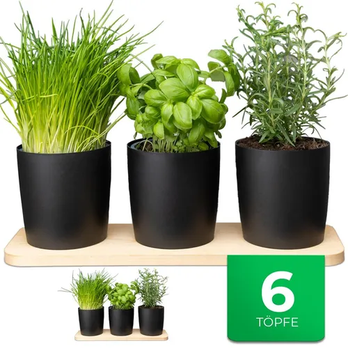 Novaliv Kräutertopfset mit 2 Holzbrettchen und 6 Töpfen - Praktisches Set für den Kräuteranbau: 2 Holzbrettchen und 6 Töpfe in Schwarz, ideal für die kreative Gestaltung Ihrer Küche.