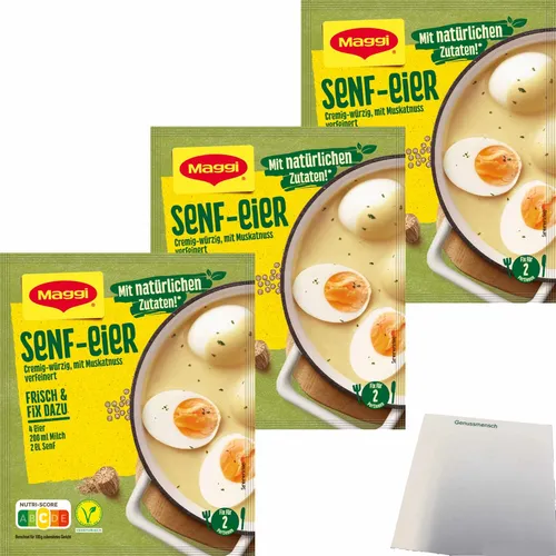 Maggi Fix Senf Eier 3er Pack 3x41g Packung usy Block