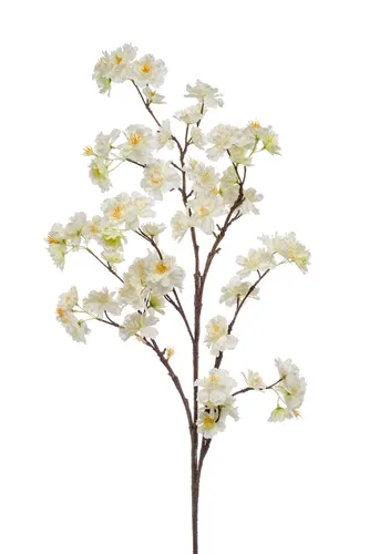 Kunstzweig Deko Kirschblütenzweig GIMA, creme-gelb, 120 cm - Schöner Zierkirschen-Kunstzweig in creme-gelb für dekorative Akzente. Ideal für den Innenbereich, bringt frische Farben in Ihr Zuhause.