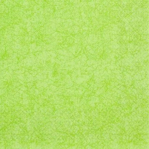 Lunch Servietten 33x33 cm 3-lagig Modern Colours green Neu 20 x
