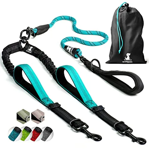 Hundeleine für 2 Hunde mit Bungee Verlängerung und Ruckdämpfer | Reflektierende Doppelleine (Blaugrün)