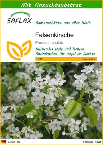SAFLAX Blumensamen SAFLAX - Samen und Substrat - Felsenkirsche