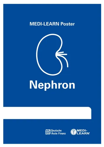 Nephron-Poster | Thomas Bormann | MEDI-LEARN Poster | Poster | 1 S. | Deutsch