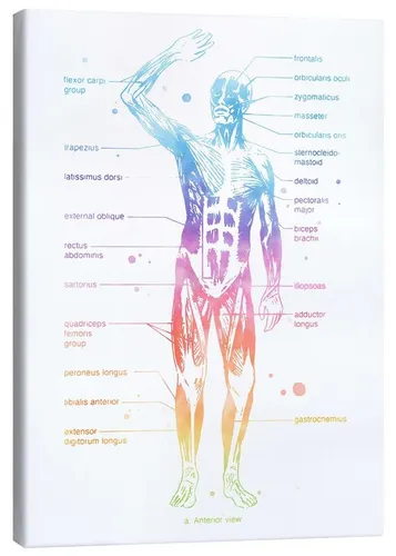 Poster & Bildende Kunst Pink von Posterlounge