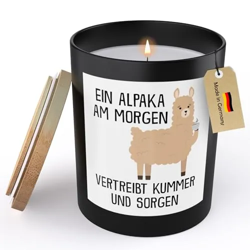  Lustige Spruchkerze Frauen Alpaka Sojawachs Kerze im Glas Handgemacht mit Spruch Humor Frech Candle Duft Deko Vegan Nachhaltig Nachhaltig - ZITRUS HANDGEMACHT