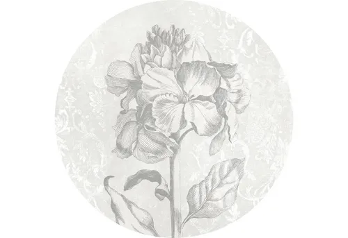 Fototapete selbstklebend D1-031 Dot Barock Beauty Ø 125 cm von Komar