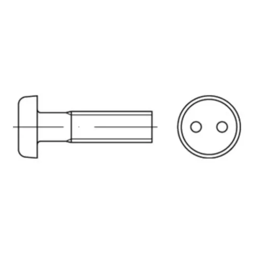 Reyher Schraube M 6 x 40 - Zweiloch Diebstahlhemmende Schrauben mit Linsenkopf, ideal für sichere Anwendungen. 100 Stück in Standardausführung, langlebig und vielseitig einsetzbar.
