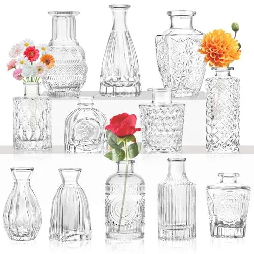 Kleine Glasvase Knospenvase Großpackung Set mit 12 Mini-Vintage-Blumenflaschen Zarte Glasblumenvase Verschiedene Größen für Blumenarrangements, dekorative Tischdekoration, Hochzeitsfeier zu Hause