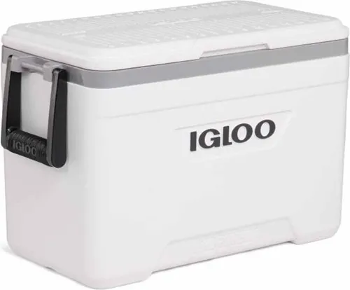 Igloo Coolers Marine Profil Ii 25 23l Steife Tragbare Kühlbox Durchsichtig Durchsichtig One Size
