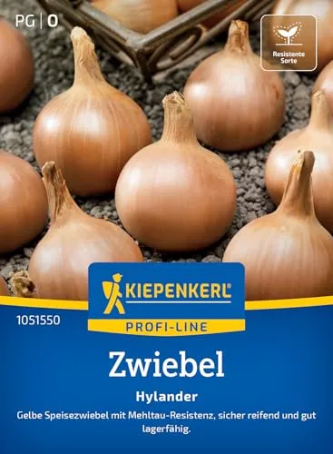 Kiepenkerl Profi-Line Zwiebelsamen Hylander 1051550 in braun von Kiepenkerl