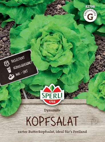 Sperli Kopfsalatsamen Dynamite 82798 - zarter Butterkopfsalat - ideal für das Freiland - Inhalt für 120 Pflanzen - Kopfsalat, Saatgut, Samen Salat