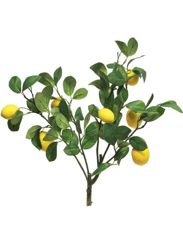 Kunstzweig Zitrone XIALIN mit Früchten, 60 cm - Attraktiver Kunstzweig mit leuchtend gelben Zitronen für eine frische Deko. Ideal für Innenräume, sorgt für lebendige Akzente in jedem Raum.