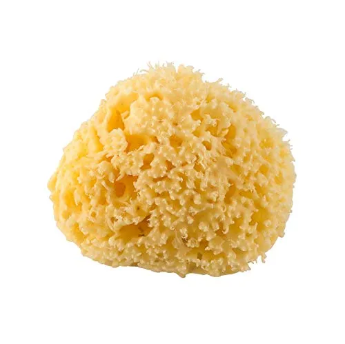 Rotho Babydesign Mittelmeerschwamm - Babymittelmeerschwamm - Mittelmeerschwamm - Pflegeschwamm - Babyschwamm - Schwamm - gelb