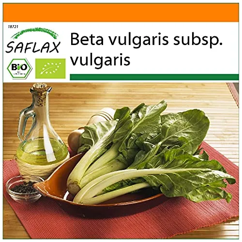 SAFLAX - Garden in the Bag - BIO - Schweizer Mangold - 150 Samen - Mit Anzuchtsubstrat im praktischen, selbst aufstellenden Beutel - Beta vulgaris