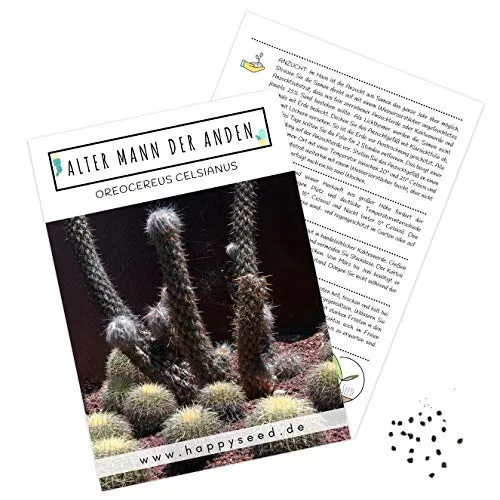 Außergewöhnliche Kakteen Samen mit hoher Keimrate - Sukkulenten Samen Set für deinen eigenen wunderschön blühenden Kaktus (1x Alter Mann der Anden)