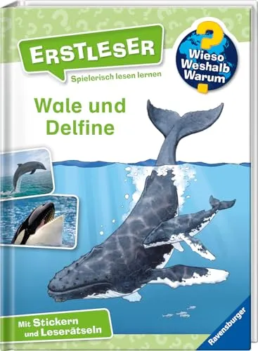 Wieso? Weshalb? Warum? Erstleser, Band 3 - Wale und Delfine (2. Klasse, Erstlesebuch ab 7 Jahren - mit Stickern und Leserätseln) (Erstleser, 3)