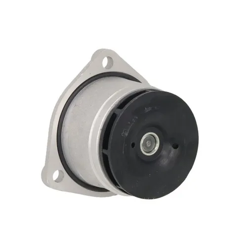 Wasserpumpe INA 538 0316 10 - Hochwertige Wasserpumpe von INA, ideal für zuverlässige Kühlung und optimale Leistung in Ihrem Fahrzeug. Mit Dichtung für einfache Installation.