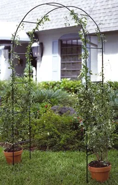 Profigarden Rosenbogen in Grün von Haushalt International