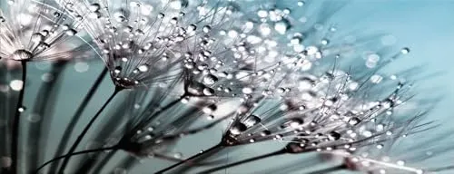 Poster & Bildende Kunst Blau von Artissimo